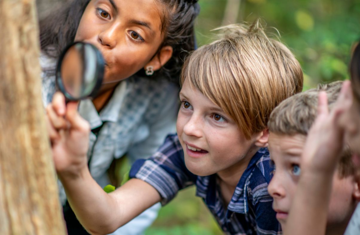 Children exploring a tree trunk with a magnifying glass during an outdoor learning activity.